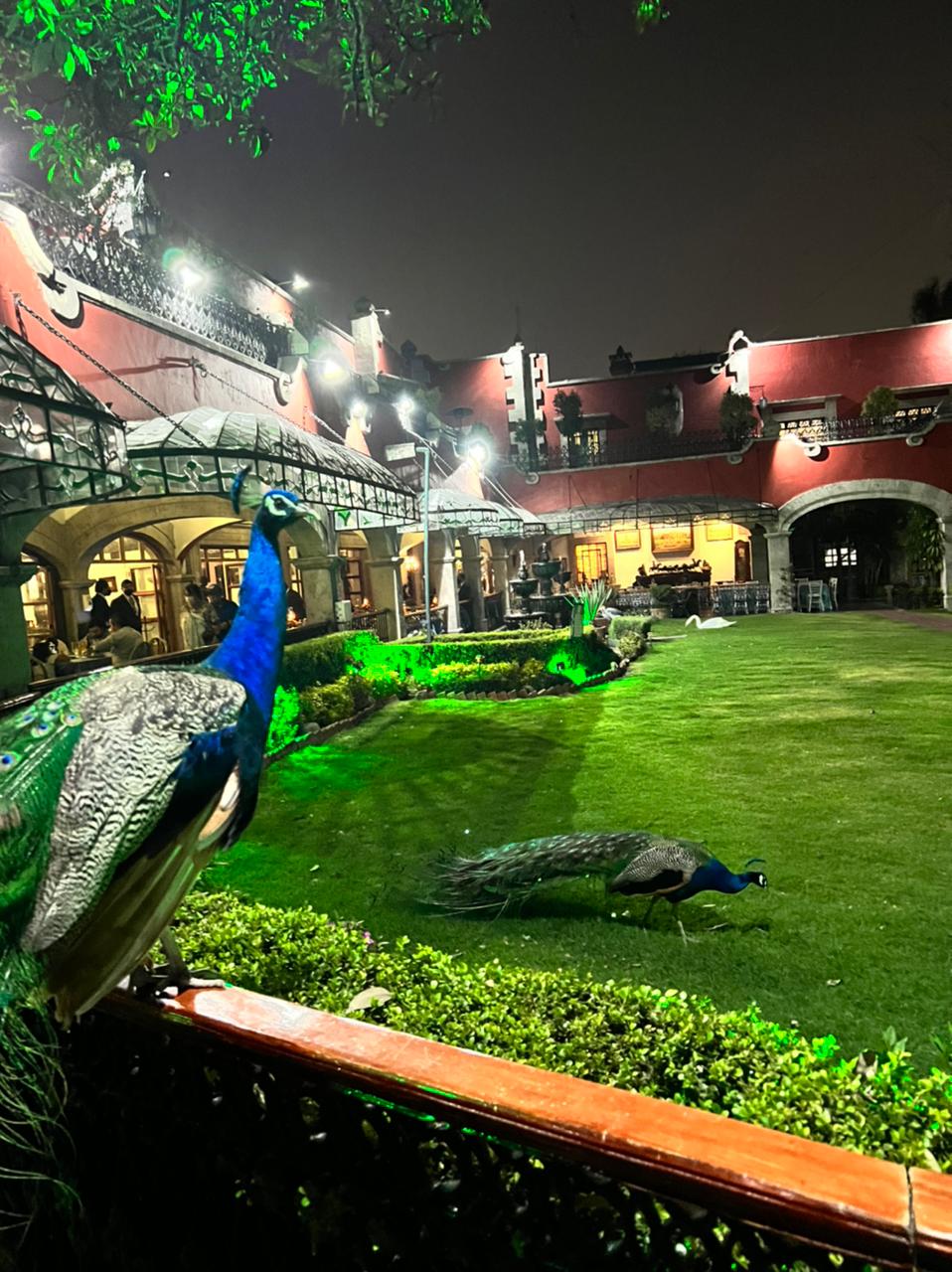 Cena a Ciegas en la Ex Hacienda de Tlalpan